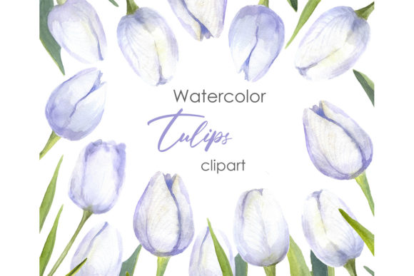 Download Floral Clipart. Watercolor Tulip Art - Floral Collection