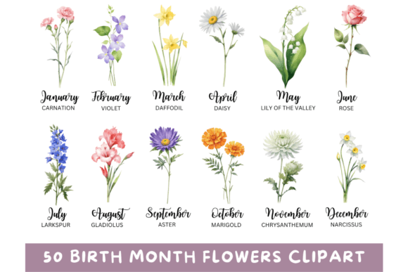 Download 50 Watercolor Birth Month Flowers PNG - Flowers png Collection